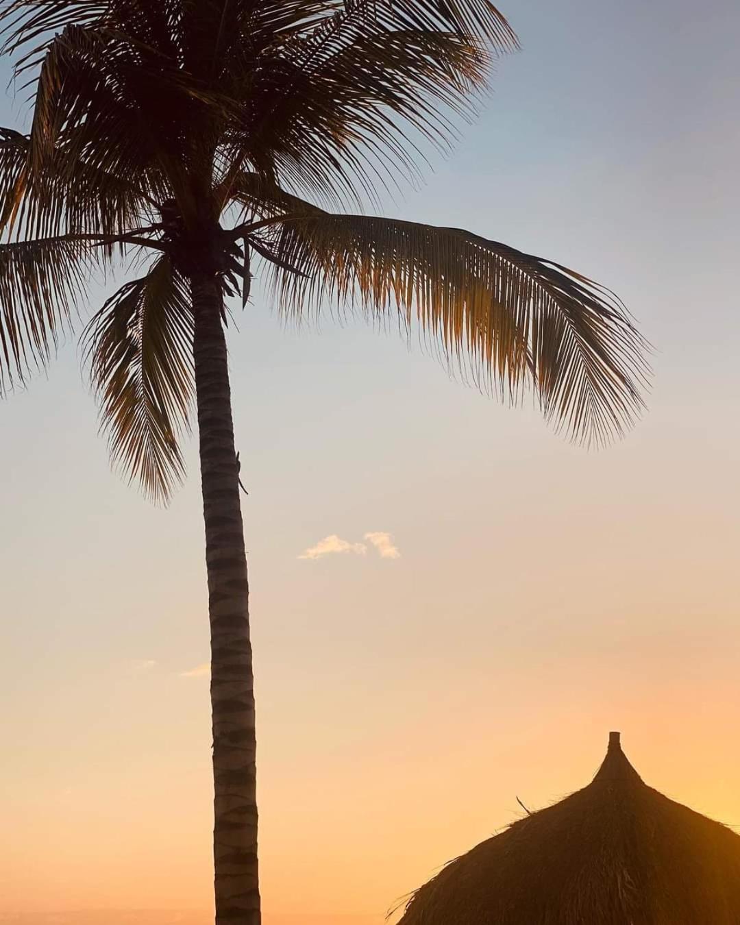 Caribbean Beach Resort Blenchi Curacao Виллемстад Экстерьер фото